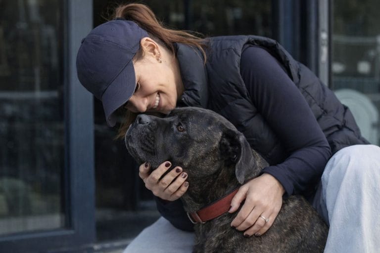 Vitaa éducation chien Cane Corso